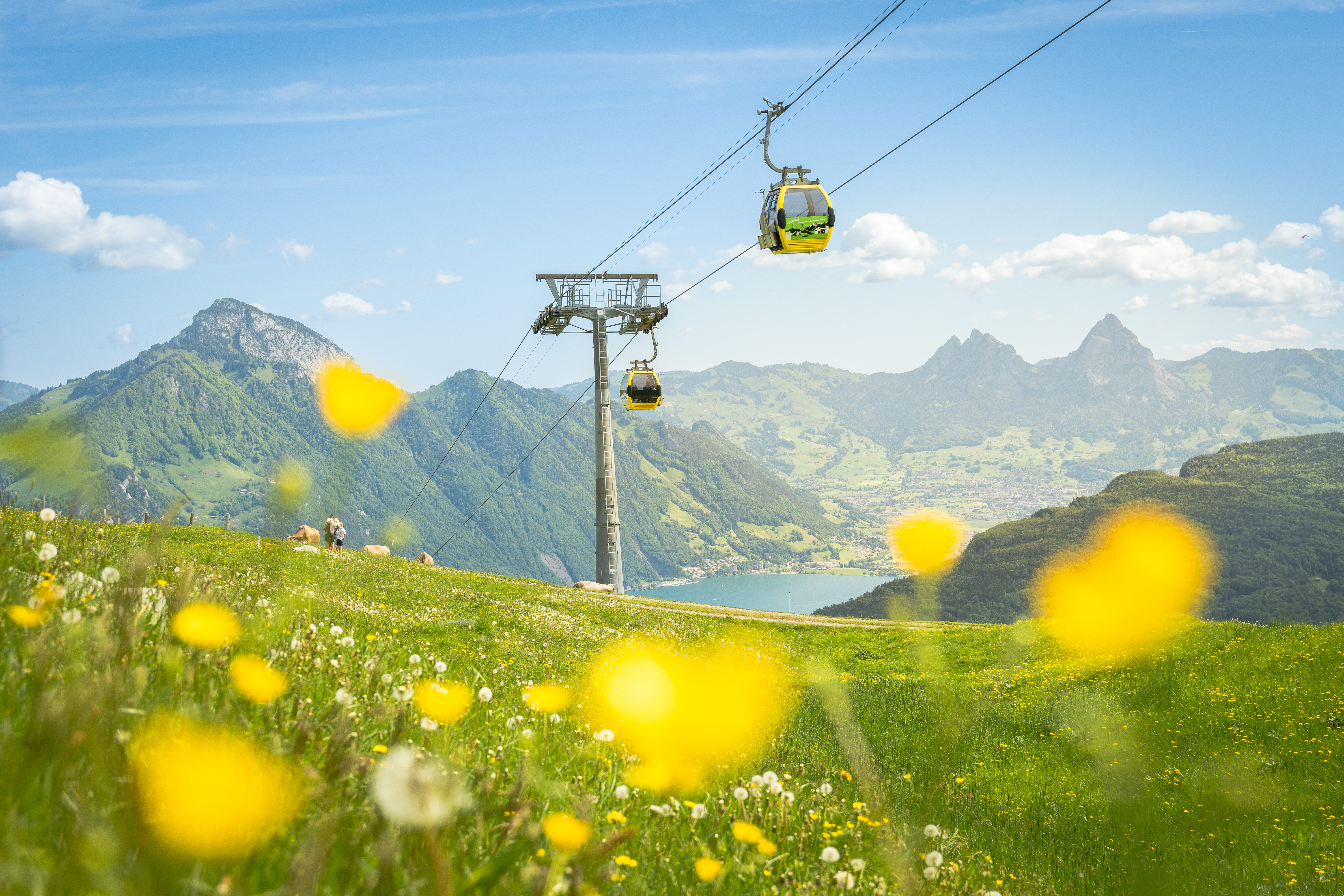 Gondelbahn Emmetten-Stockhütte im Sommer mit Mythen im Hintergrund und Blumen im Vordergrund.