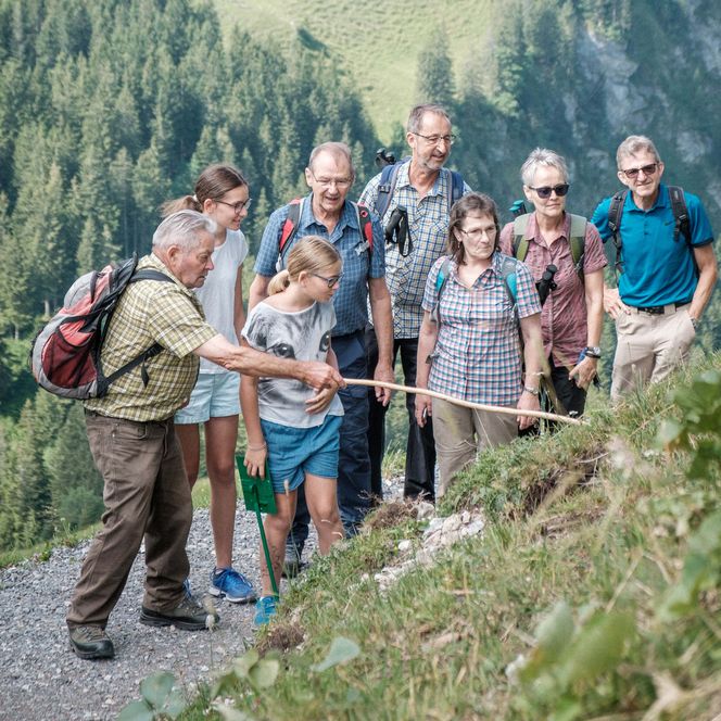 Der einheimische Alois Käslin, der Blueme-Dädi vom Alpenblumenweg auf der Klewenalp, erklärt auf dem Wanderweg bei der geführten Rundwanderung, die Merkmale und Anwendungsweisen der Alpenblumen.