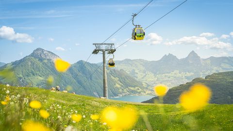 Gondelbahn Emmetten-Stockhütte im Sommer mit Mythen im Hintergrund und Blumen im Vordergrund.