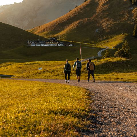 Eine Gruppe am Wandern Richtung Klewenstock im Herbst.